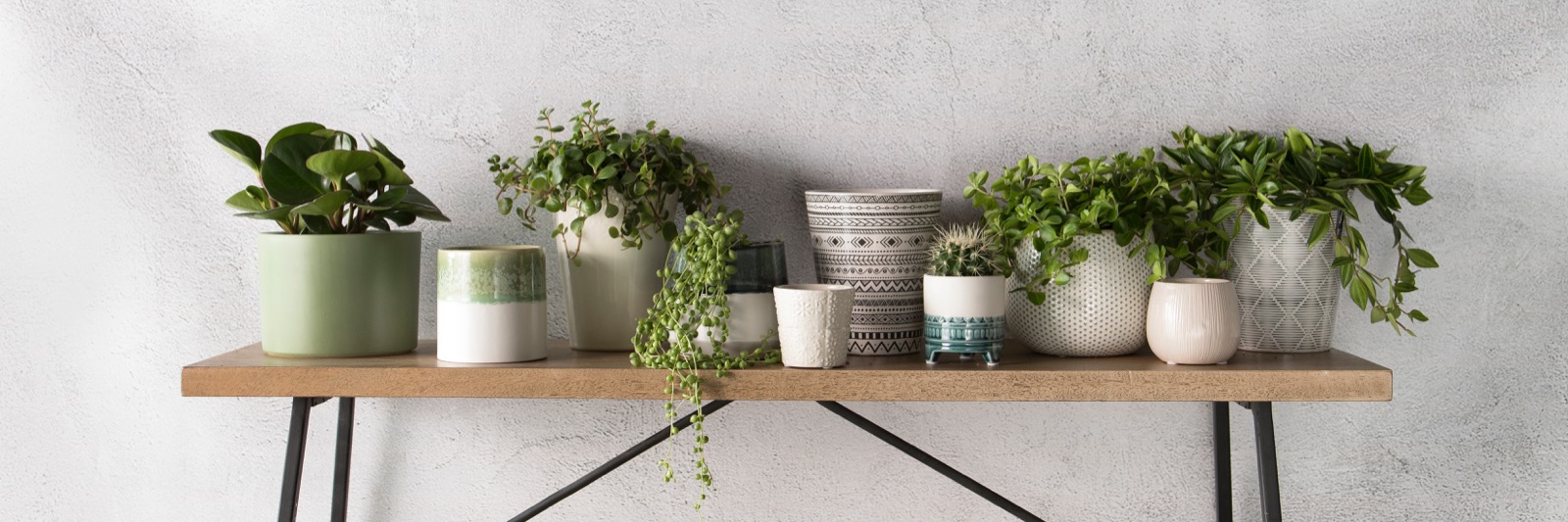 Pottery Direct
